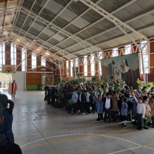 Celebración Domingo de Ramos